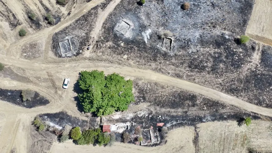 Alevlertüm köyü sardı, köylüler asırlık ağacı korumak için seferber oldu 7