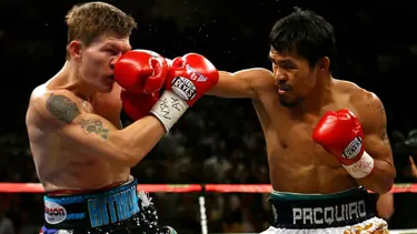 Ringe çıktığında gerilla bile silah bırakıyor