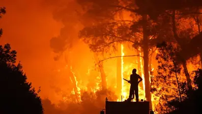 İzmir ve Bursa'daki yangınlarla ilgili iki şüpheli tutuklandı
