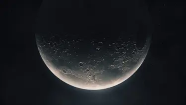 Nesli tükenmekte olan hayvanlar Ay'a gönderilecek