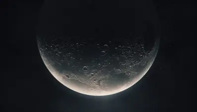 Nesli tükenmekte olan hayvanlar Ay'a gönderilecek