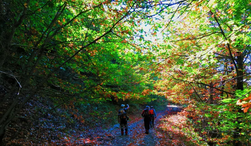 Türkiye'nin en iyi trekking rotaları (En güzel yürüyüş parkurları) 9
