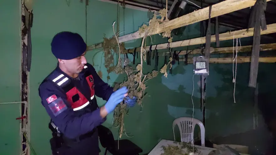 Dışı fabrika içi uyuşturucu serası 2