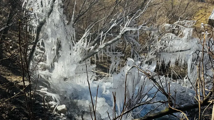Şırnak'ta hava sıcaklığı eksi 10 dereceye düştü: Ağaçlarda buz sarkıtları oluştu 2