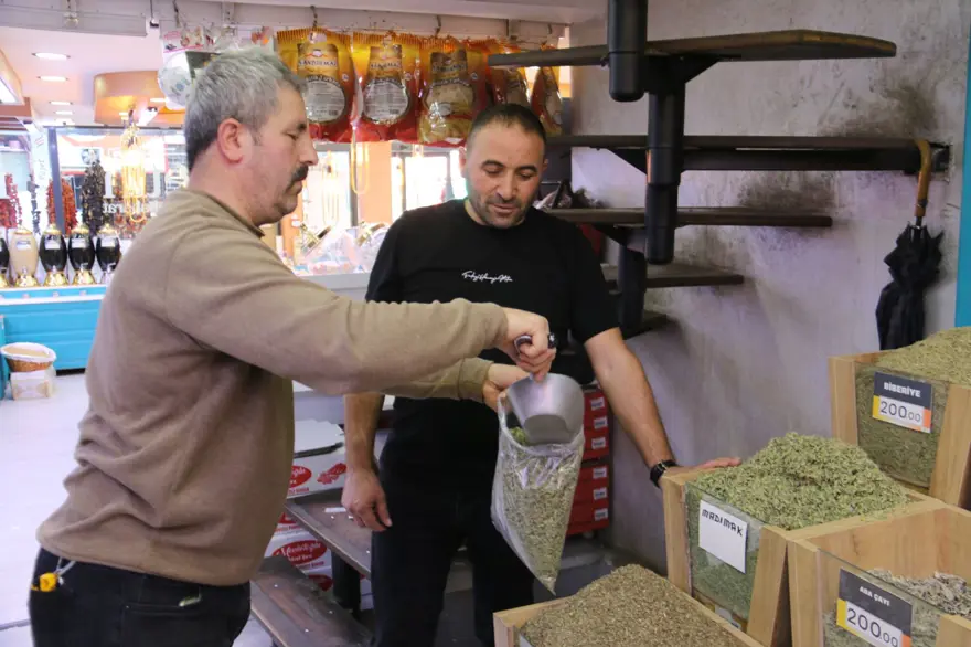 Yaşı 100 lira, kurusu 500 lira: Sabırla toplanıyor 3