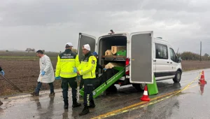 Milas'ta yol kenarında kimliği belirsiz erkek cesedi bulundu Milas'ta yol kenarında kimliği belirsiz erkek cesedi bulundu