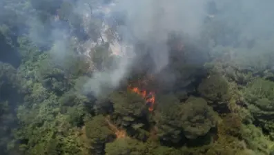 Sultangazi Kent Ormanı'nda korkutan yangın