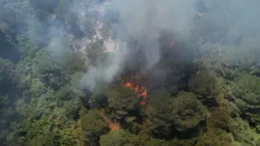 Sultangazi Kent Ormanı'nda korkutan yangın