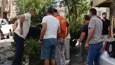 Oyuncu İbrahim Yıldız'ın üzerine ağaç düştü: Olay anı kamerada