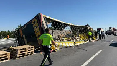 Kontrolden çıkan sıvı yağ yüklü TIR devrildi