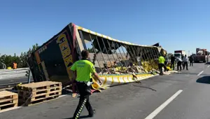Kontrolden çıkan sıvı yağ yüklü TIR devrildi