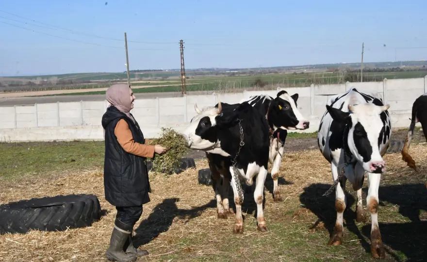 "HAYVANLAR EVLATLARIMIZ GİBİ" 4