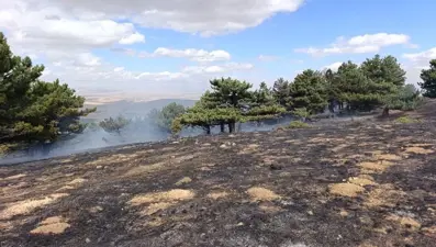 Konya'da orman yangını