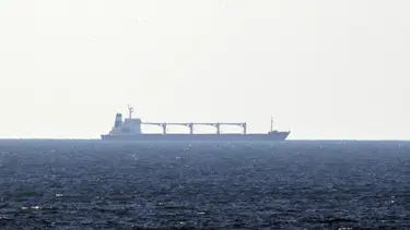 Ukrayna'dan tahıl sevkiyatı: İlk gemi İstanbul Boğazı Karadeniz girişine ulaştı