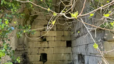 Bartın'da kaçak kazıya suçüstü: 6 gözaltı