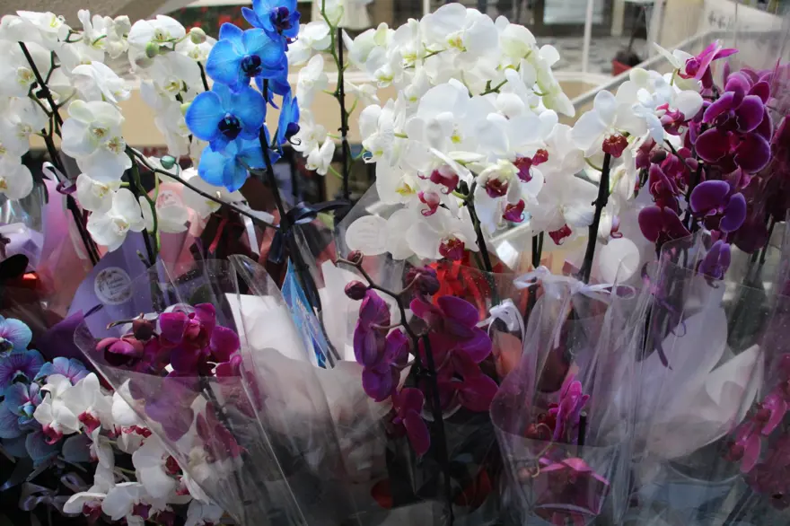 14 Şubat Sevgililer Günü telaşı: Aşıklar bin lirayı gözden çıkaracak 5