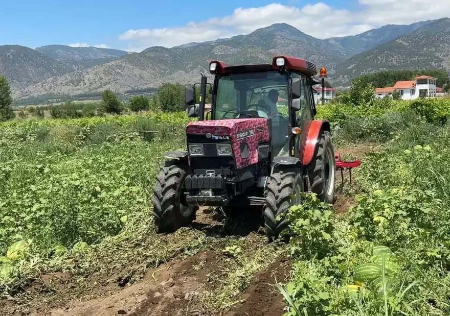 Dönüm fiyatı 10 bin lira: Hasat başladı 