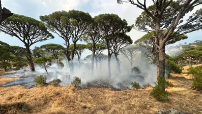 Aydın’da 7 ayrı noktada orman yangını: 10 dönüm alan zarargördü