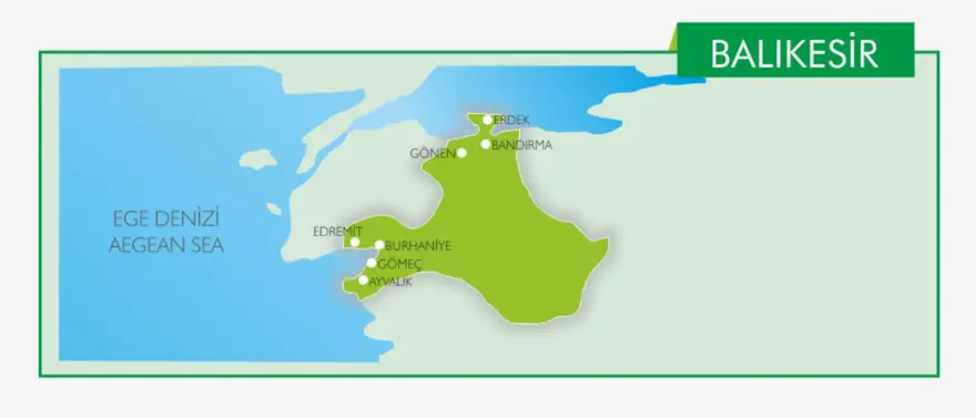 BALIKESİR 61