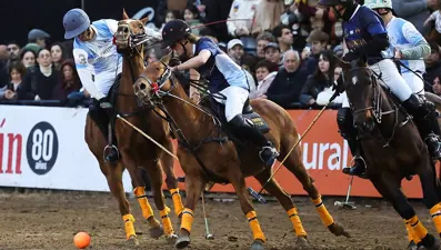 "Mutant" atlar sahada