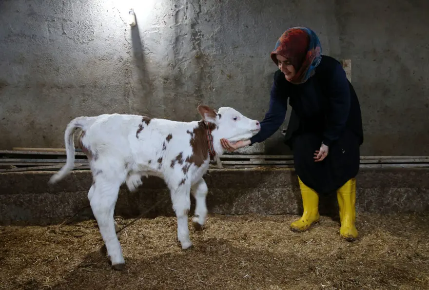 250 bin lira hibe desteğiyle 2 yılda 6'ya katladı: Üretip tüm ilçeye satıyorlar 2