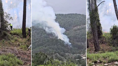 Antalya'da orman yangını: Ekipler alevlere müdahale ediyor