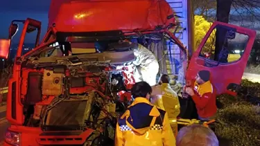 Ağaca çarpan TIR'ın kabinde sıkışan şoförü ekiplerce çıkarıldı