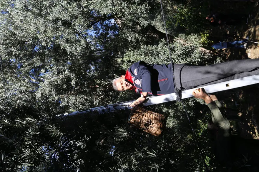 Dalından tek tek topladılar: "Üstün Lezzet Ödülü" kazanmıştı 4