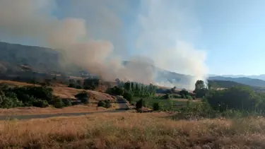 Bingöl’de 1 haftada çıkan yangınlarda 7 hektarlık alan yandı