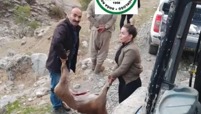 Yasa dışı avlanan iki kişiye185 bin liralık ceza