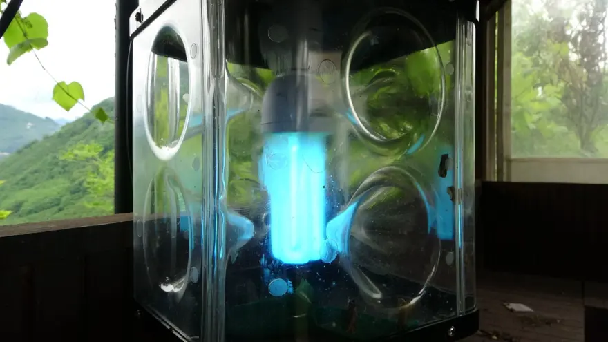 BİYOLOJİK MÜCADELEDE KULLANILIYOR 2