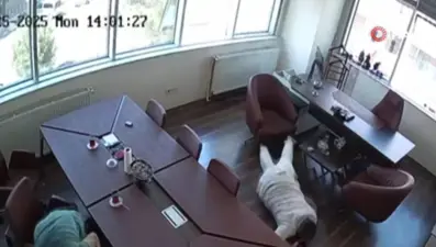 Tekstil firmasına kurşun yağmuru: Çalışanlar yere yatarak kurtuldu