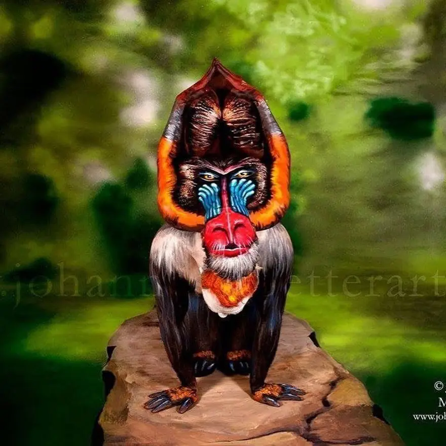 Johannes Stötter’in vücut boyama sanatı: Kelebek aslında birkadın 17