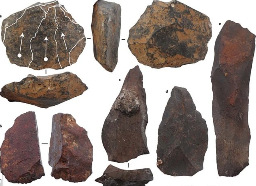 "SİT ALANINA İNSANLAR TARAFINDAN GETİRİLDİ" 3