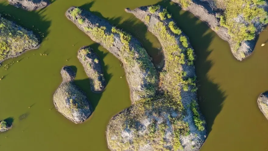 Ağrı Dağı eteklerindeki renkli sulak alanlar ilgi çekiyor 6