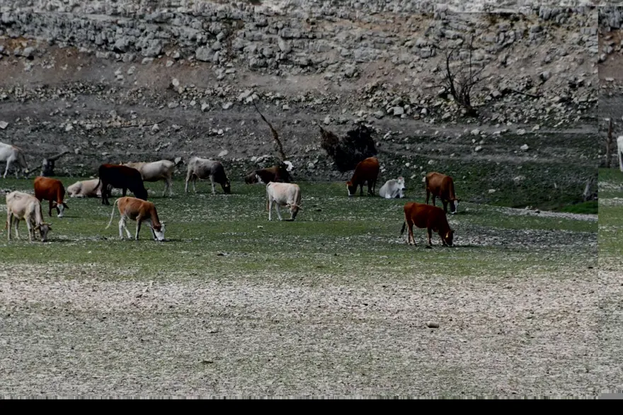 Trakya'da, İstanbul'un suyunu karşılayan barajlar kurudu 6