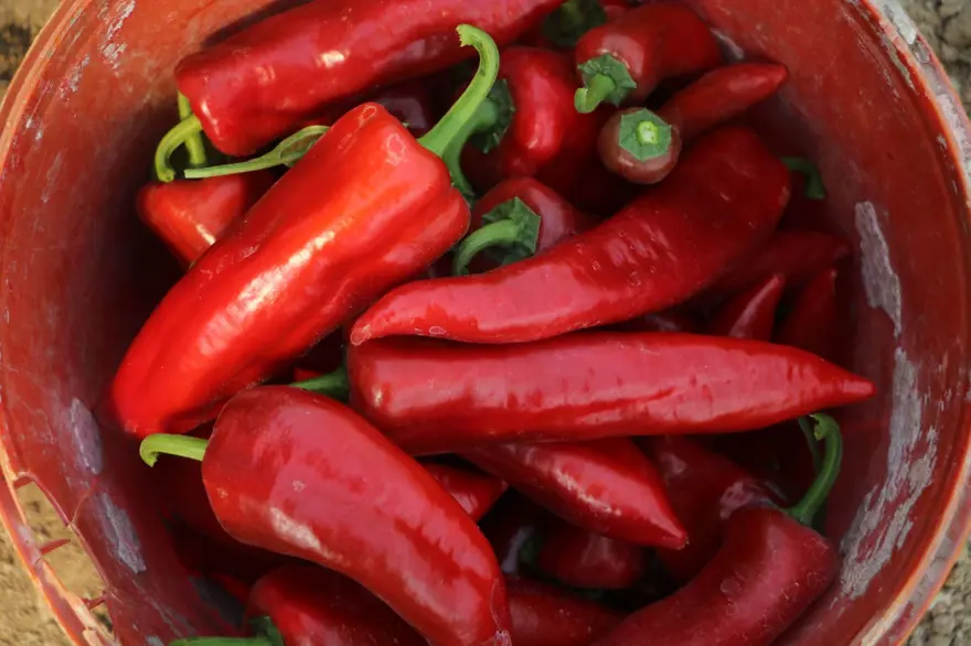 Fiyatı 50 liraydı şimdi 80 TL'den satılıyor: "Yüzde 50 oranında fiyat farkı var" 3