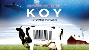 NTV Yeşil Ekran dozunu yükseltiyor