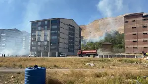 Bitlis'te çıkan yangın ağaçlara zarar verdi