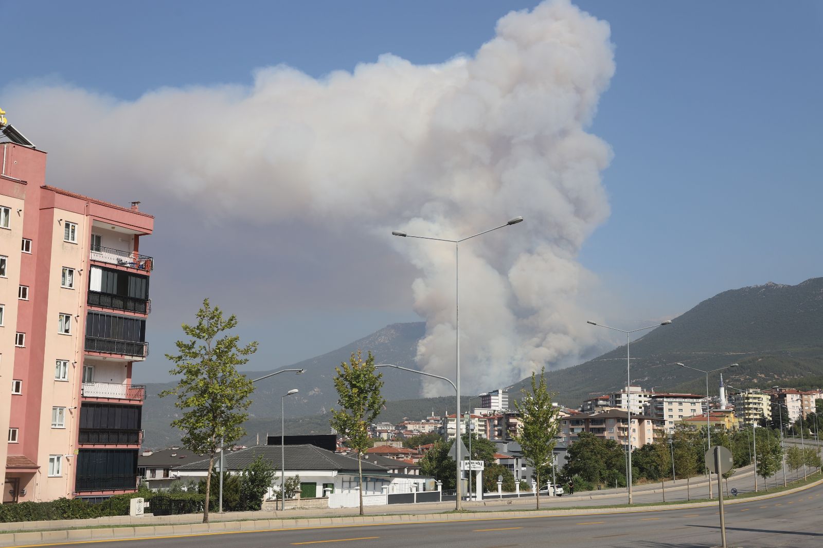 Denizli'de orman yangını: Bir şüpheli gözaltında