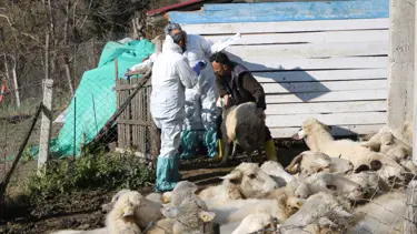 Zonguldak'ta 50 köy karantinaya alındı