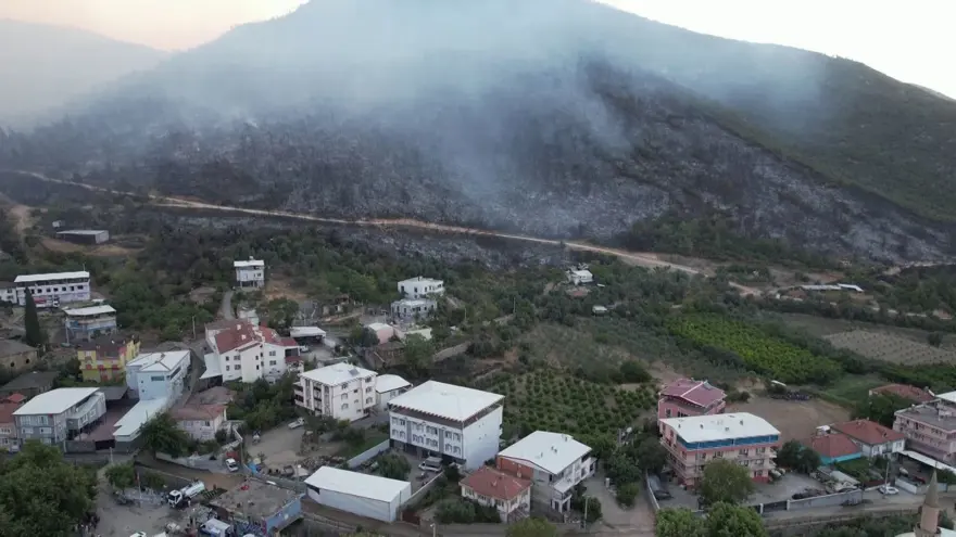200’ÜN ÜZERİNDE HAYVAN KURTARILDI 3