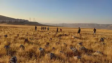 Avusturyalı profesörden Van'da önemli keşif: İnsanlık için önemli olabilir