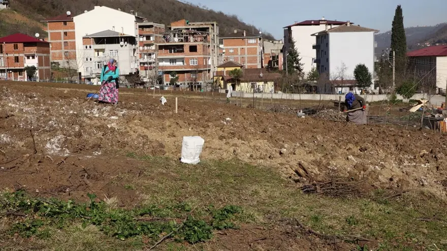 ‘FINDIK FİDANLARINI BİZ TEMİN EDECEĞİZ’ 5 ‘FINDIK FİDANLARINI BİZ TEMİN EDECEĞİZ’ 5