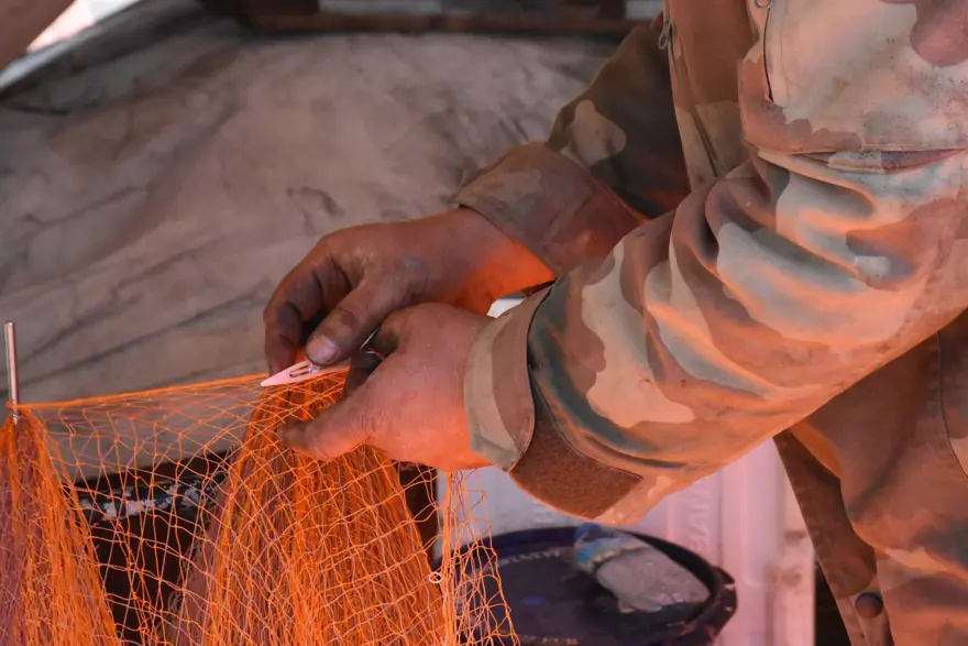 Balıkçılar paydos ediyor: İhlal edenlere binlerce lira ceza 3