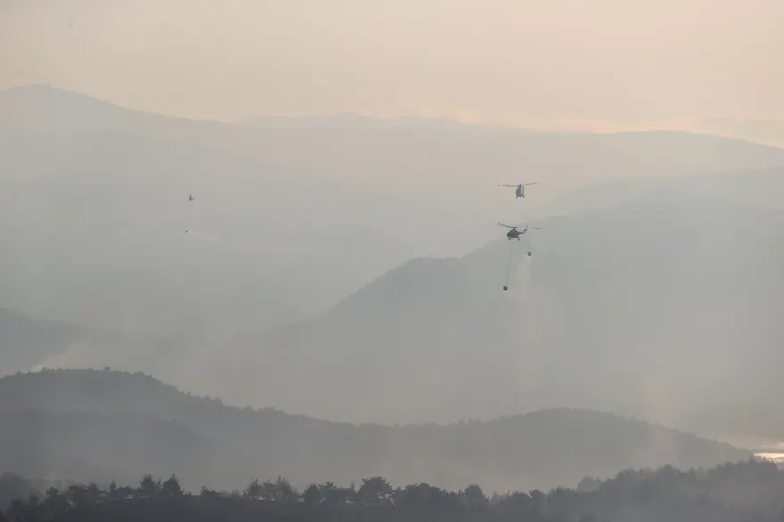 Çanakkale'de orman yangını kontrol altında 65