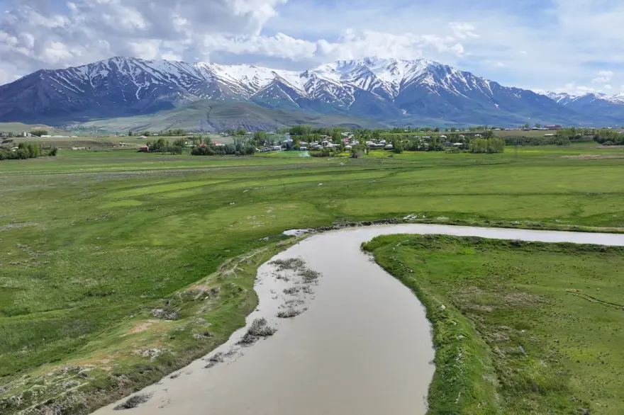 Suların çekildiği Van Gölü'nden sevindiren haber 1