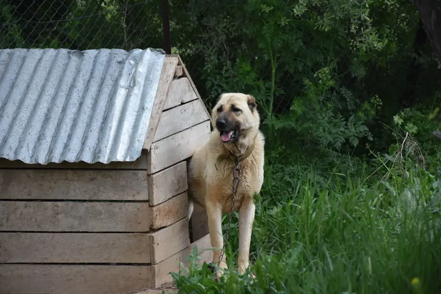 İklim değişikliği kangalları da vurdu 3 İklim değişikliği kangalları da vurdu 3