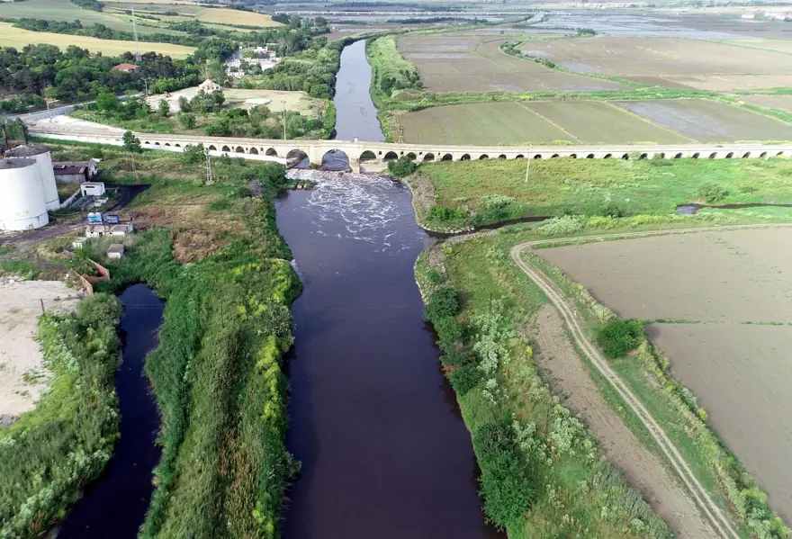 Ergene Nehri, Trakya'da zehir saçıyor 