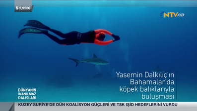 Dünyanın İnanılmaz Dalışları 29 Mayıs 2016